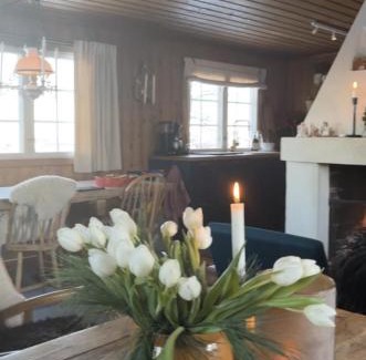 Hol Municipality House | Cozy family friendly cabin at beautiful location!