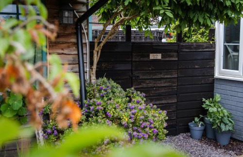 Williton Apartment | Cozy Garden Studio