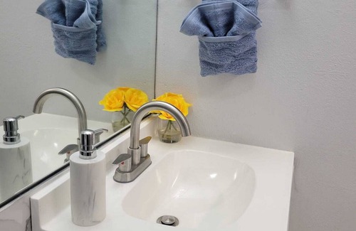 Carrollwood Apartment | Cozy Getaway Studio Close to Airport and Beaches in Carrollwood Tampa
