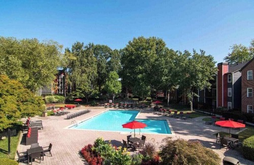 Briarcliff Heights Apartment | Cozy Hidden Gem 1-bedroom in ATL walking distance to Emory