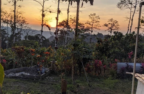 Pedro Vicente Maldonado House | Cozy House in the Rainforest Transportation Included
