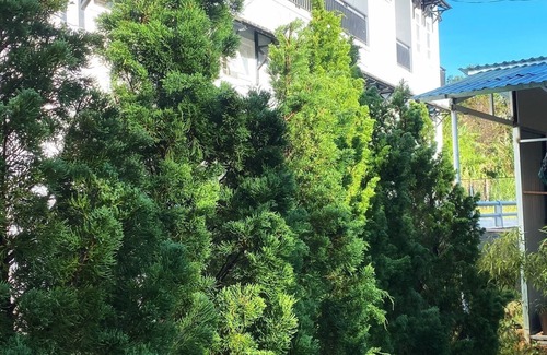 Phuong 10 House | Cozy Homestay with Garden & BBQ, very close to Dalat market