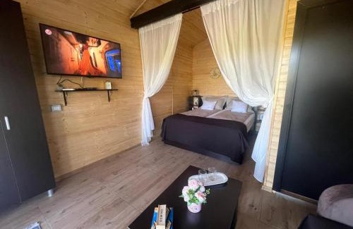Teliucu Inferior Resort | Cozy Lake House