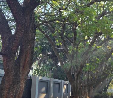 Mookgopong House | Cozy Lifestyle Guesthouse