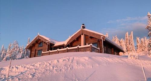 Loten Municipality House | Cozy Log Cabin With A View Over Hedmarken