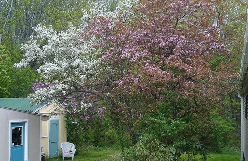 Milbridge House | Cozy Milbridge retreat just steps away