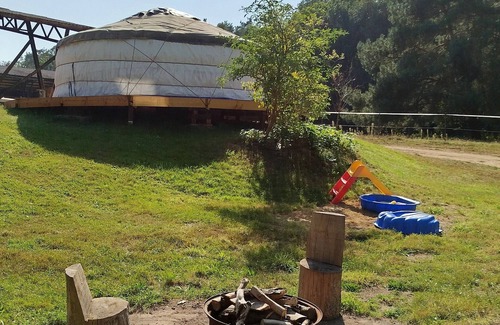 Selmsdorf Cabin | Cozy Mongolian yurt between the Hanseatic city and the sea on a country farm.