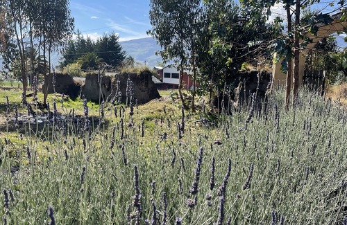 Machachi Ski Chalet | Cozy mountain retreat, great BBQ area! Pet friendly