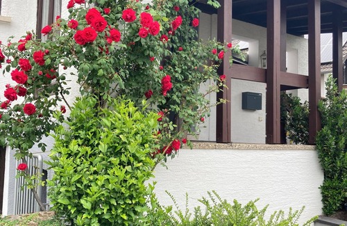 Enkenbach-Alsenborn Apartment | Cozy nice appartment - quiet and best location
