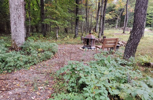 Goodman Cabin | Cozy Northwoods Mini Cabin.*SAUNA/HOT TUB*ATV/SNOWMOBILE TRAILS*