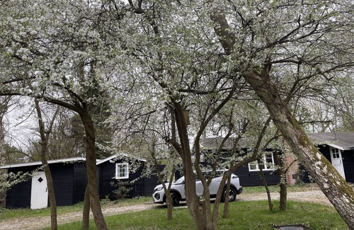 Dronningmolle Cottage | Cozy "old school" danish cottage 900 m from beautiful sandy beach
