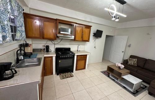 Lambeau Apartment | Cozy one Bedroom Apartment Garden side