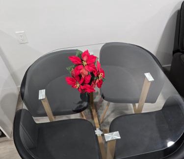West Edmonton Apartment | Cozy One bedroom BSMT Apartment