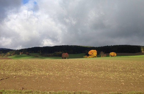 Tannesberg House | Cozy Pet-friendly Holiday Home in Tännesberg