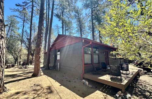 Ponderosa Park House | Cozy Pines Cabin in Prescott - 3bd 2ba