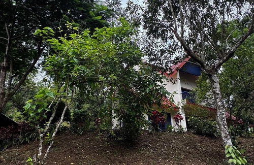 Kuttikkanam Cottage | Cozy plantation estate cottage/bunglaow