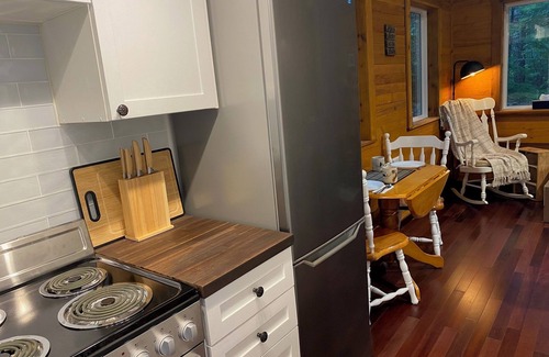 Mount Currie Cabin | Cozy private 1 Bedroom & Loft cabin in the forest. Rustic with Modern features.