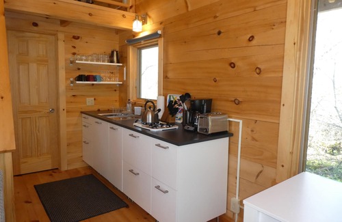 Ely Cabin | Cozy private island getaway just minutes from Ely