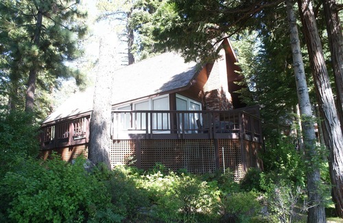 Carnelian Bay Cottage | Cozy Private Lakefront Cottage Surrounded By Lush Trees