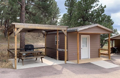 Crook County Cabin | Cozy queen bed cabin with WiFi, fitness room in enchanting Aladdin