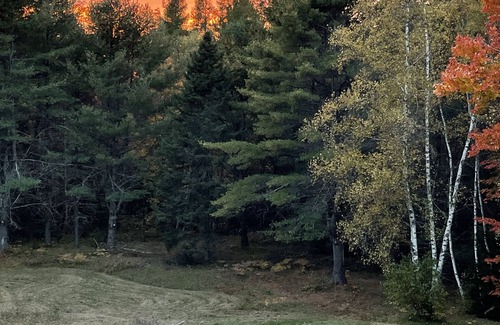 Olamon House | Cozy Rural House Along the Penobscot River