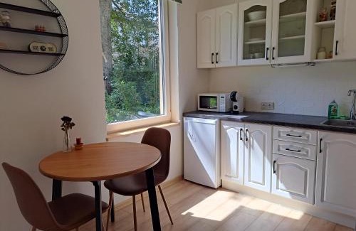 Aluksne Apartment | Cozy Studio - 5 min to Lake & City