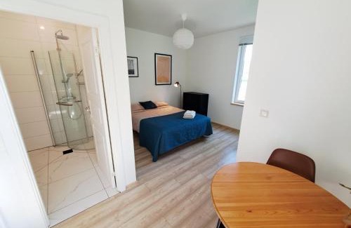 Aluksne Apartment | Cozy Studio - 5 min to Lake & City