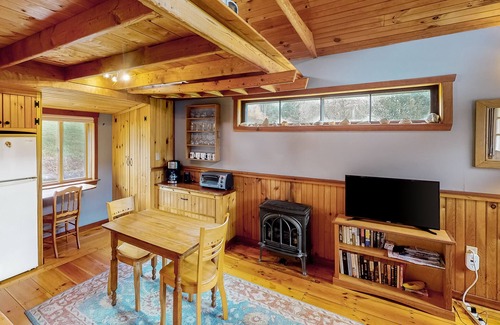 Northfield Apartment | Cozy studio cabin with free WiFi, gas fireplace, and patio