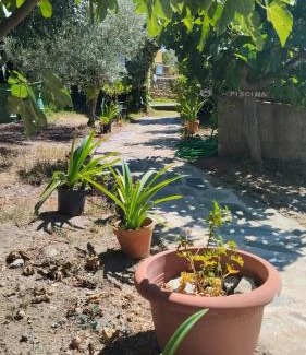 La Acena de la Borrega Apartment | Cozy studio in Valencia de Alcántara 25 m² lovely garden