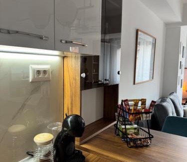 Centar Apartment | Cozy studio in Debar Malo!