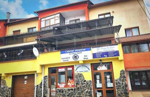 Cugir Apartment | Cozy Studio