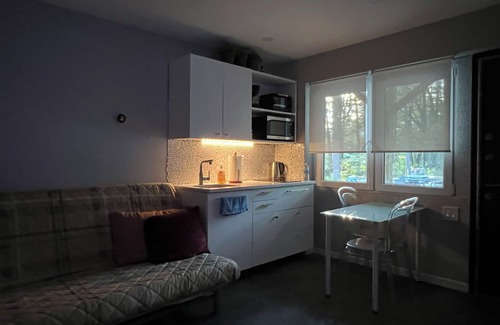 Town of Lumberland Apartment | Cozy Studio with WiFi and AC in enjoyable Glen Spey