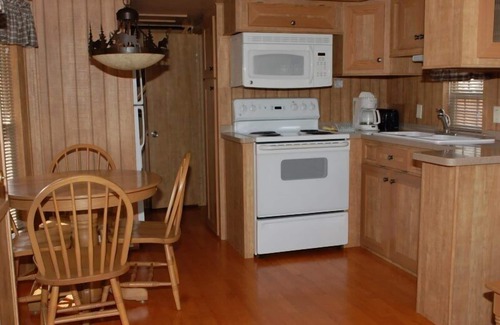 Almont Cabin | Cozy "Tiny Home" style Cabin Perfect for Couples and Families