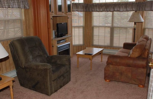 Almont Cabin | Cozy "Tiny Home" style Cabin Perfect for Couples and Families