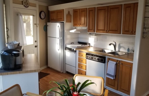 Sea Pines House | Cozy Treehouse Close to Harbour Town and HHI Beaches