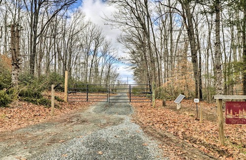 Keene Apartment | Cozy Virginia Cabin Rental - Dogs Welcome!