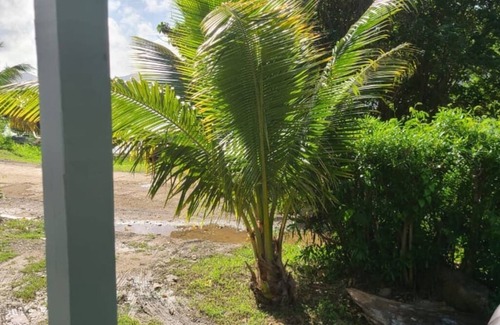 Jost Van Dyke House | Cozy Waterfront Cottage Sleeps 6