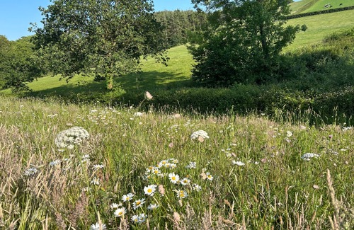 Chittlehampton Cabin | Cozyshepherdshutwithhottub
