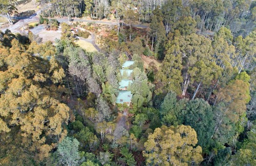 Moina Hotel | Cradle forest inn