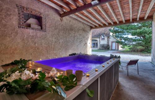 Aubigny-sur-Nere Villa | Crazy Villa Le Petit Belair 18 - Heated pool - Foot - 2h Paris - 30p