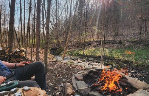 Cherry Valley Cabin | Creekside: Cozy off-grid cabin near Cooperstown, NY