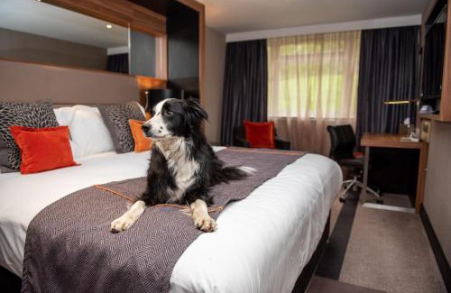 Seer Green Hotel | Crowne Plaza Gerrards Cross by IHG
