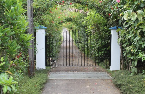 Nuevo Arenal House | CRParaiso - Gated, Tranquil and Private. Not just a house; it is a place.