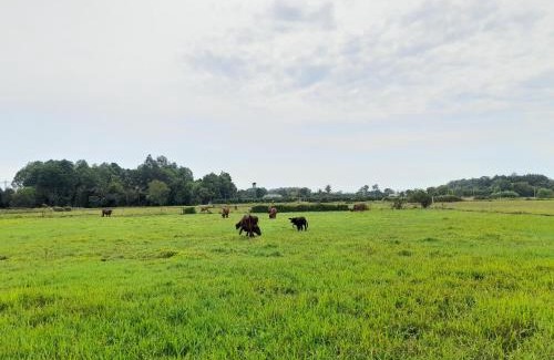 Cu Chi House | Cu Chi Boutique Countryside