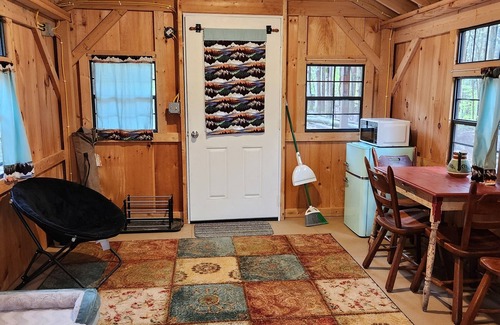 Dryden Cabin | Cub Cabin: Charming cabin with WiFi in Freeville - perfect for a cozy getaway
