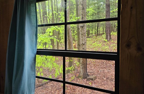 Dryden Cabin | Cub Cabin: Charming cabin with WiFi in Freeville - perfect for a cozy getaway