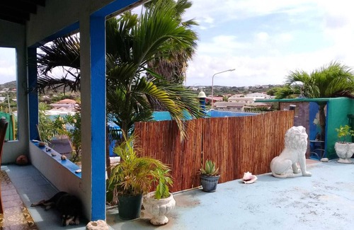 Barber House | Curacao NEW Dive Resort 2025 (with many Dive and Snorkeling Hotspots)