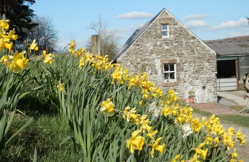 Hawick Cottage | Curlew Cottage, Hawick, Scottish Borders