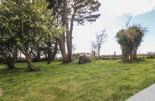 Gusserane Cottage | Curragh Cottage