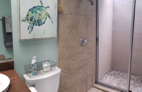 Park East Villa | Cute 2/2 near downtown and beaches! 1 hour from Tampa's theme parks & museums!